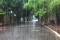 Musim Hujan di Indonesia Lebih Panjang, BRIN: Badai dan El Nino Berperan